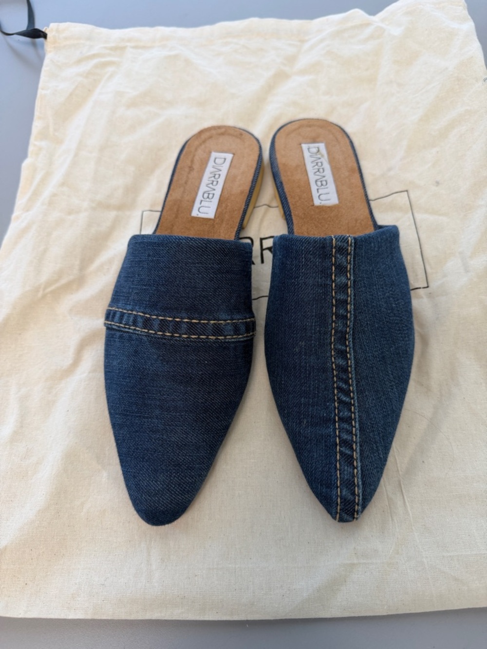 Diarrablu Women's Denim Pointed Mules in Dark Blue